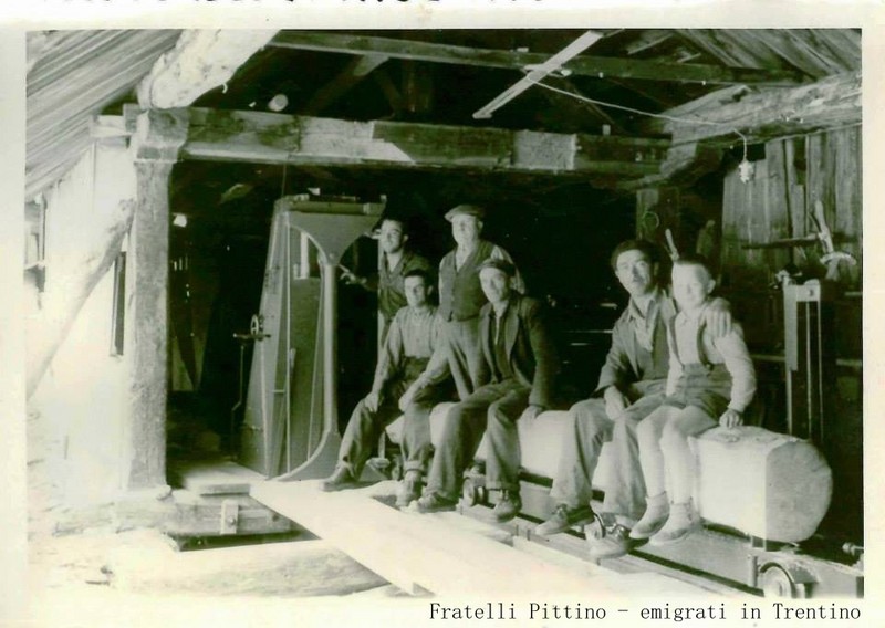PittinoTrentino.jpg