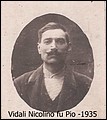VidaliNicolino00.jpg