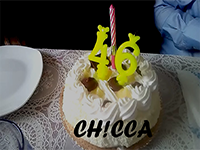 chicca