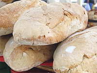 Pane
