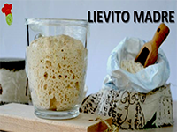 LievitoMadre
