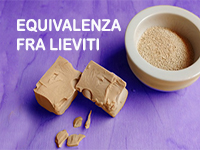 Lieviti